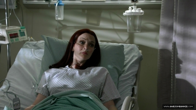 Annie Wersching in No Ordinary Family