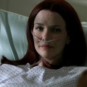 Annie Wersching in No Ordinary Family