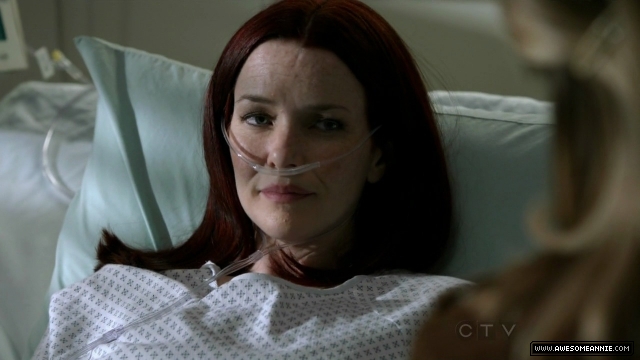 Annie Wersching in No Ordinary Family