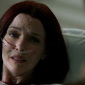 Annie Wersching in No Ordinary Family