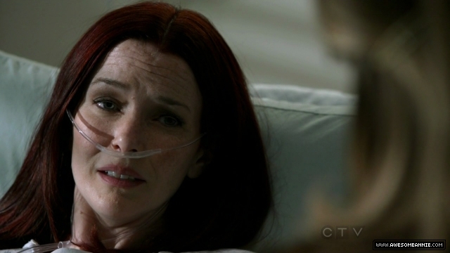 Annie Wersching in No Ordinary Family