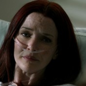 Annie Wersching in No Ordinary Family