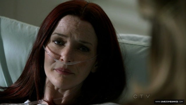 Annie Wersching in No Ordinary Family