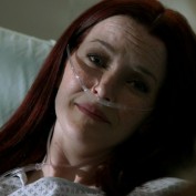 Annie Wersching in No Ordinary Family