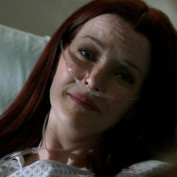 Annie Wersching in No Ordinary Family
