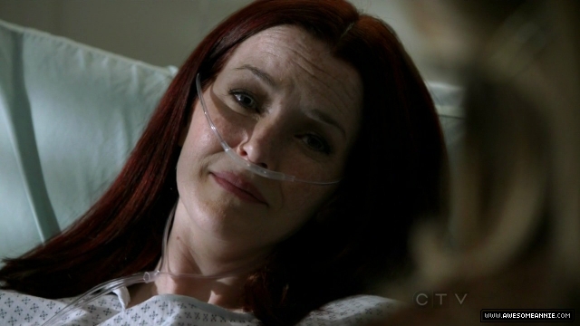 Annie Wersching in No Ordinary Family