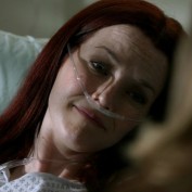 Annie Wersching in No Ordinary Family