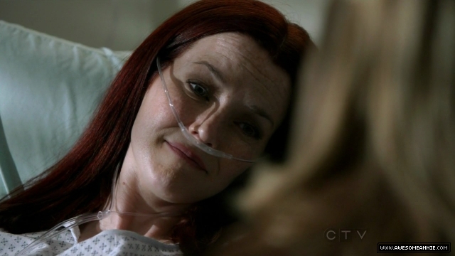 Annie Wersching in No Ordinary Family