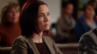 Annie Wersching Harry's Law