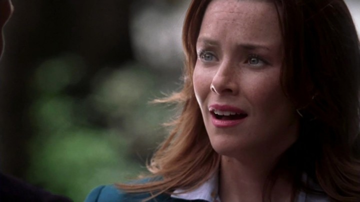 Annie Wersching as Diana Bloom in Journeyman