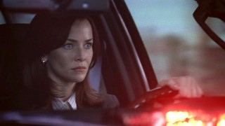 Renee Walker Driving SUV - 24 Season 7 Episode 5