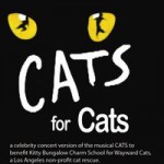 CATS for Cats charity benefit